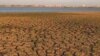 Widespread drought could push food prices higher in 2011.