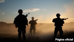 Navy Seal: los mejores del mundo