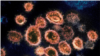 16x9 Image