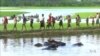Rohingya Repression Prompts Washington to Rethink Myanmar Ties