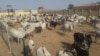 Yan Bindiga Barayin Shanu A Zamfara