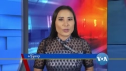 နေ့စဉ် တီဗွီသတင်းလွှာ (၀၈-၁၁-၂၀၂၀) 