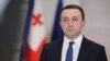ღარიბაშვილი: პოზნერის ვიზიტი კანონთან სრულ შესაბამისობაში იყო