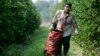 Emanuel Mandujarro de Guanajuato, México, un trabajador temporal con una visa de trabajo agrícola tipo H-2A, recolecta naranjas en una granja de cítricos en Arcadia, Florida. 