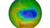 This image made available by NASA shows a map of a hole in the ozone layer over Antarctica on Sunday, Oct. 20, 2019. The purple and blue colors indicate the least amount of ozone, and the yellows and reds show the most. 