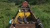 Los migrantes hondureños viajan en un tren de carga hacia el norte, en Salto del Agua, estado de Chiapas, México.