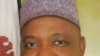 Nigeria's National Assembly Approves Vice President
