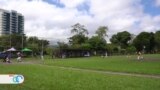  Beisbolistas nicaragüenses exiliados en Costa Rica se esfuerzan por continuar su carrera 