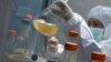 A scientist works on the development of Abdala, an experimental vaccine for COVID-19, at the Center for Genetic Engineering and Biotechnology (CIGB) in Havana, Cuba.