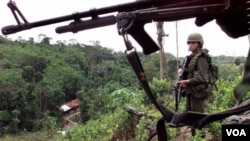 Policías antinarcóticos en un campo de coca, cerca de La Gabarra, en el este del país y cerca de la frontera con Venezuela.