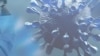 资料照片：武汉病毒研究所的入口。（2020年5月15日摄）