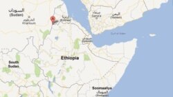 ኣብ ከተማ ሰቲት- ሑመራ ተቓውሞ ተኻይዱ