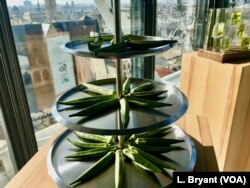 Drought-resistant okra is displayed at a "Future 50 Foods" tasting at the Pompidou Center in Paris.