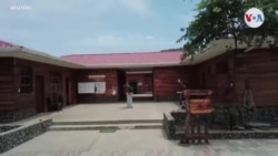 Tortugas marinas en rehabilitación en hospital costero de Ecuador