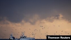 Pescadores a bordo del buque de arrastre Manureva, con base en Boulogne-sur-Mer en el Mar del Norte, frente a la costa del norte de Francia, el 7 de diciembre de 2020.
