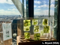 Algae, which are nutrient-rich and can have a meat-like flavor, is seen at a "Future 50 Foods" tasting at the Pompidou Center in Paris.