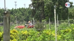 Campesinos en Florida se resisten a vacunarse contra el coronavirus