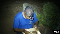 Juan Almonte revisa sedimentos en una cueva al sur de República Dominicana.