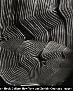 Abelardo Morell, Book with Wavy Pages, 2001