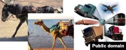 ትራንስፖርት