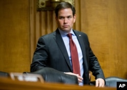 Senador Marco Rubio, republicano por Florida.