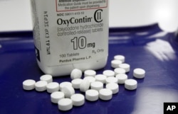 FILE - In this Feb. 19, 2013 photo, OxyContin pills are arranged at a pharmacy in Montpelier, Vermont. A panel of federal judges will decide whether lawsuits filed on behalf of babies born to opioid-addicted mothers should be separated from a larger federal case.