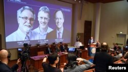 La academia sueca presentó a los tres laureados con el premio Nobel de Medicina el lunes 7 de octubre de 2019.
