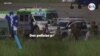 Tres muertos en atentado terrorista en aeropuerto colombiano de Cúcuta