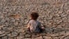 ACNUR: Cambio climático y violencia de pandillas, factores que obligan a los hondureños a migrar