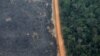 FILE - An aerial view shows a deforested plot of the Amazon near Porto Velho, Rondonia State, Brazil, Sept. 17, 2019.