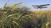 An airplane treats winter wheat crops with chemicals to kill destructive insects in the town of Mozdok in North Ossetia, Russia, June 8, 2011