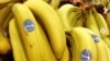 Productor de bananas podría fusionarse con firma irlandesa