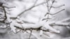 Tormenta invernal supera récord anuales de nieve en varios estados del sur de EEUU