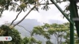 La historia de ‘un loco alemán’ que se enamoró de Venezuela