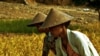 Food Prices Continue to Rise in Asia