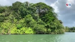 Turismo comunitario y etnoeducativo, la estrategia de algunas comunidades en el Pacífico colombiano 