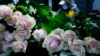 Toneladas de flores ecuatorianas no llegarán a San Valentín