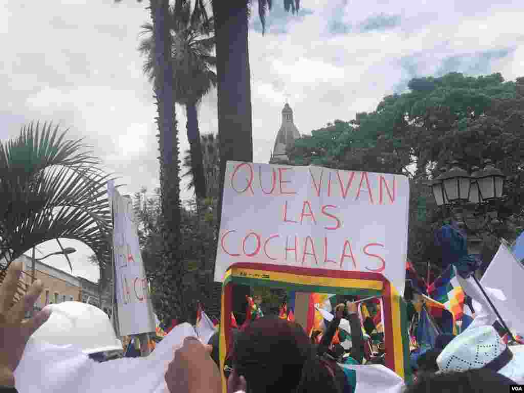 Una persona muestra un cartel que reza: &quot;Que vivan las cochalas&quot;, nombre que es apelativo de la gente oriunda de Cochabamba