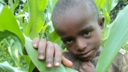 ዓለም-ለኸ ማህበረሰብ አብ ኢትዮጵያ ንዘጋጠመ ድርቅን ጥምየትን ትኩረት ክህብ ናይ ሕ/ሃ ትካል ህጻናት አድህን ጸዊዑ
