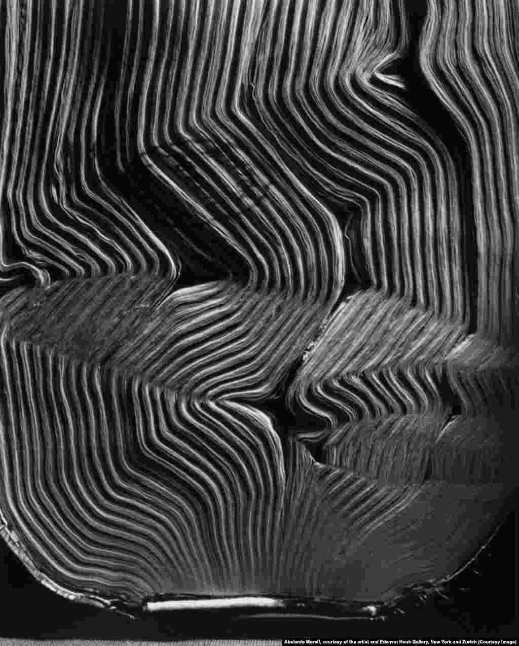 Abelardo Morell, Book with Wavy Pages, 2001