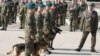 Polish army dogs and their handlers are seen during a ceremony in Nowy Dwor Mazowiecki, Poland, Sept. 6, 2024. 