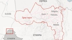 ወታደራት ኤርትራ ኣብ ወረዳታት ኢሮብ፣ሳዕስዕ ፃዕዳ እምባን ታሕታይ ቆራሮን ን99 ሰባት ቀቲሎም ተባሂሉ