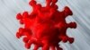 Coronavirus Model 