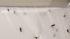 El Tukuko, un pueblo venezolano al pie de las montañas que cruzan la frontera con Colombia, es la imagen de la propagación de la malaria en Venezuela.