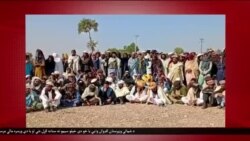 د ډیوه د روانو چارو خپرونه په ټي وي

