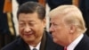 Lighthizer: Espera "ánimo positivo" en reunión entre Trump y Xi sobre disputa comercial
