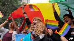 Participants displays a rainbow flag and cheer as gay rights activists and their supporters march during a gay pride parade in New Delhi, India, Nov. 12, 2017.