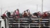 FILE - Garment workers stand on the cargo platform of a truck as they head home after their work shift outside Phnom Penh, Cambodia, Nov. 11, 2020. 