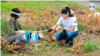 Los desechos de la pandemia: un problema ambiental en Nicaragua