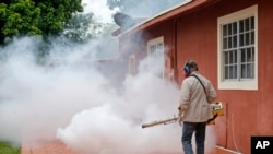 El estado de Florida ha iniciado una agresiva campaña para controlar la población de mosquitos en Miami.